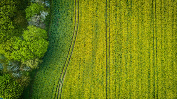 filmowanie inwestycji obiektów z dronów